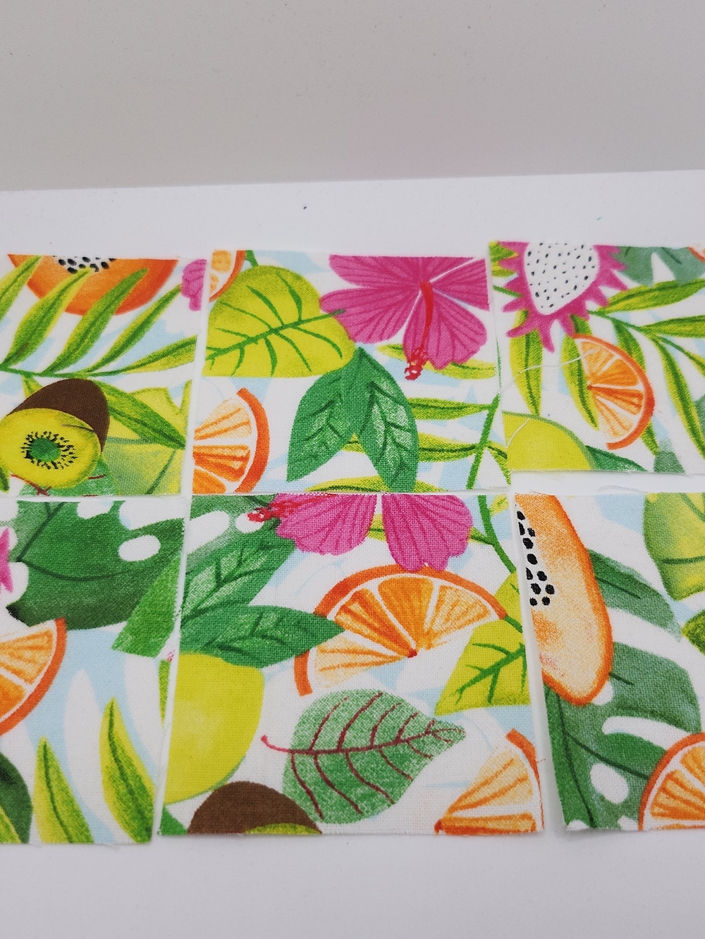 Tropical Fruit Print 2.50 Inch Precut Squares